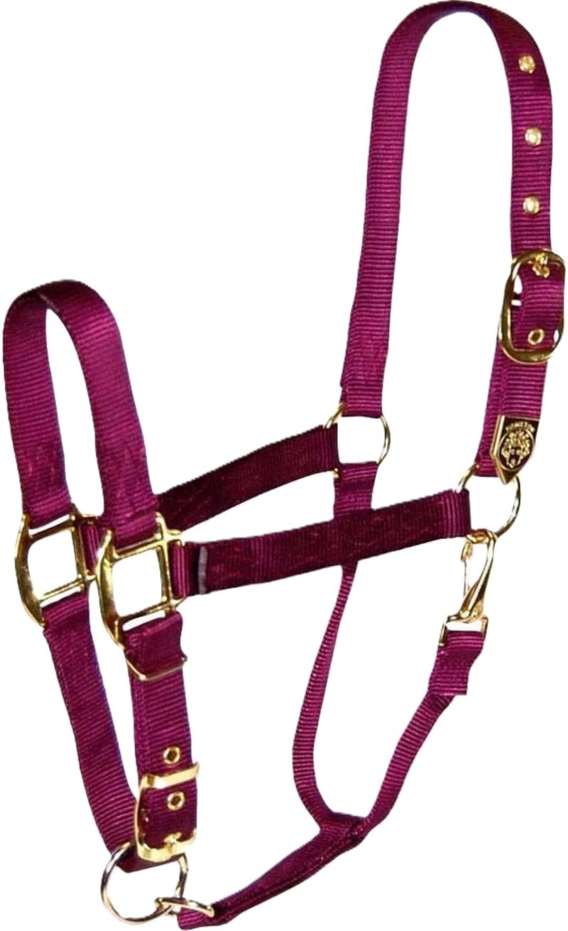 Hamilton Deluxe Horse Halter, 1" Triple Ply Nylon, Adjustable Chin Strap, Easy On/Off Throat Snap, Large Horse or 2 Year Old Draft, 1100-1600 lbs, Wine - Image 1